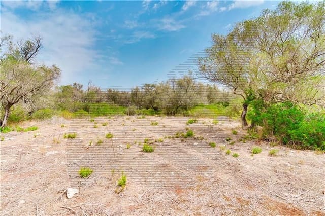 Area Edificabile in vendita in Felanitx - 790.000 € (Rif: 7098105)