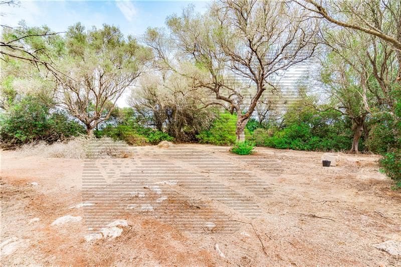 Area Edificabile in vendita in Felanitx - 790.000 € (Rif: 7098105)