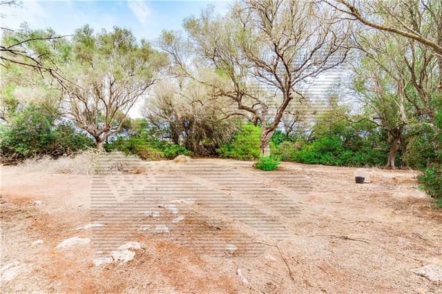 Area Edificabile in vendita in Felanitx - 790.000 € (Rif: 7098105)