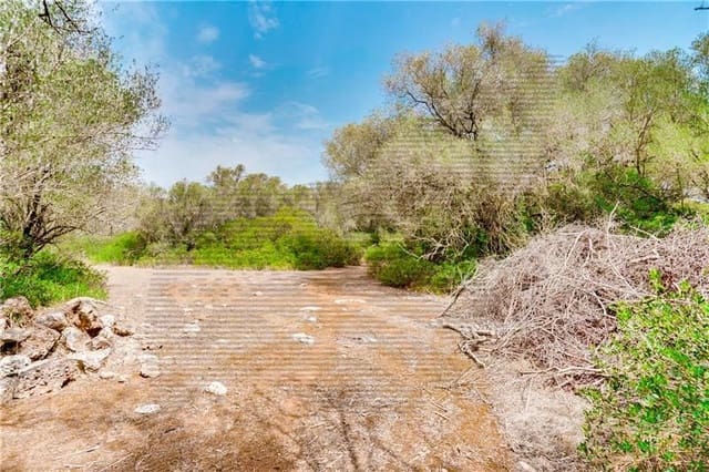 Area Edificabile in vendita in Felanitx - 790.000 € (Rif: 7098105)