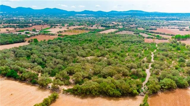 Area Edificabile in vendita in Felanitx - 790.000 € (Rif: 7098105)