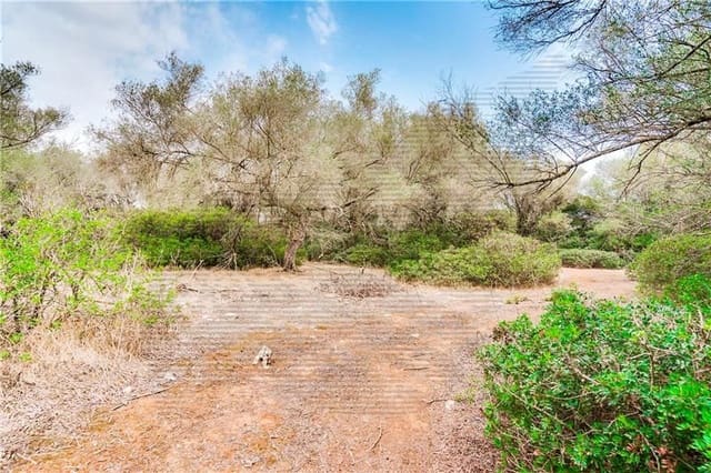 Area Edificabile in vendita in Felanitx - 790.000 € (Rif: 7098105)