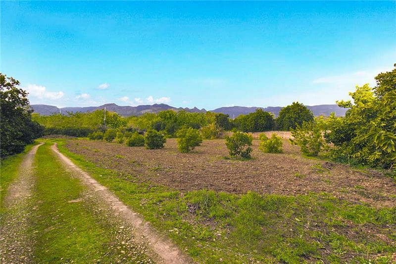 4 camera da letto Finca/Casa di Campagna in vendita in Palma de Mallorca con piscina garage - 1.995.000 € (Rif: 7965620)