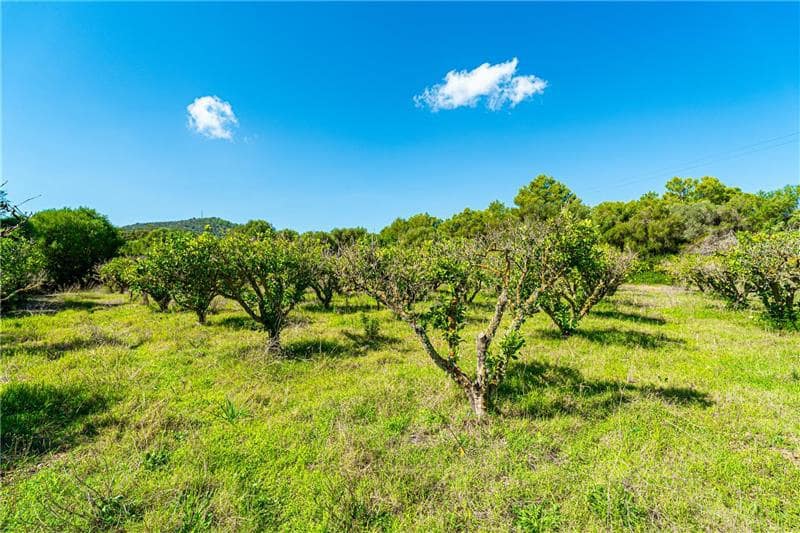 3 sovrum Finca/Hus på landet till salu i Son Servera - 850 000 € (Ref: 8613780)