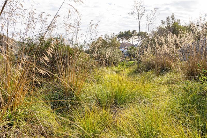 Terreno para Construção para venda em Puigpunyent - 190 000 € (Ref: 8776597)