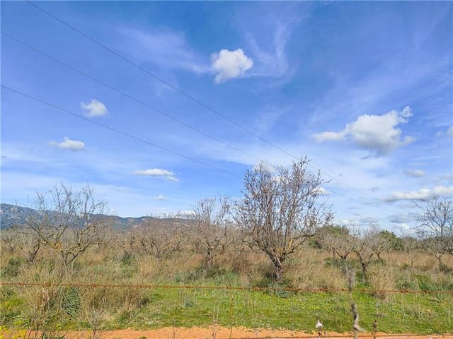 Ubebygd land til salgs i Bunyola - € 780 000 (Ref: 8841915)