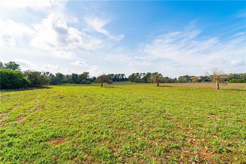 Finca/Country House for sale in Maria de la Salud / Maria de la Salut with garage - € 3,675,000 (Ref: 8861530)