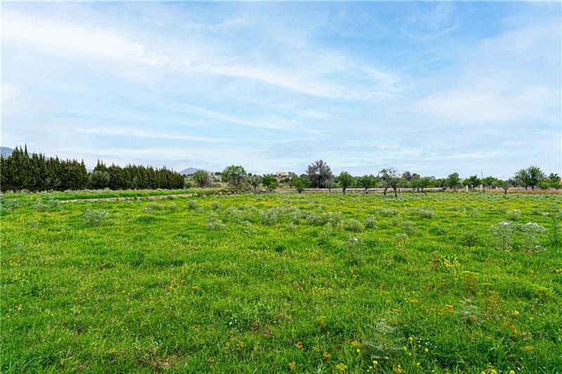 4 soveværelse Finca/Landehus til salg i Selva med garage - € 1.800.000 (Ref: 8924840)