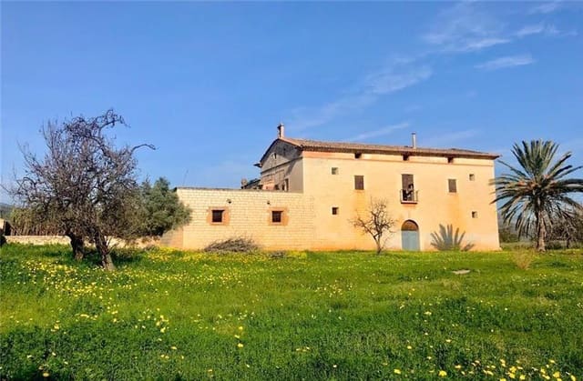 Villa/Maison à vendre à Son Rapinya, Palma de Mallorca - 5 900 000 € (Ref: 9002234)