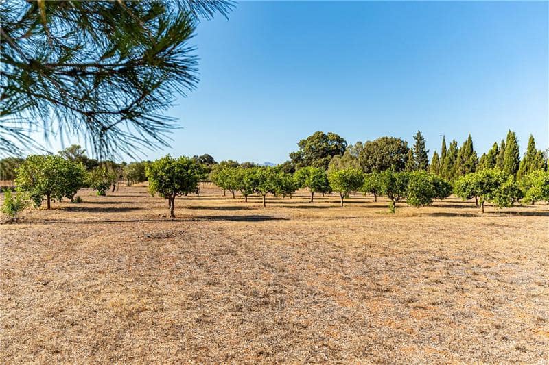 4 soveværelse Finca/Landehus til salg i Algaida med swimmingpool garage - € 1.750.000 (Ref: 9029998)