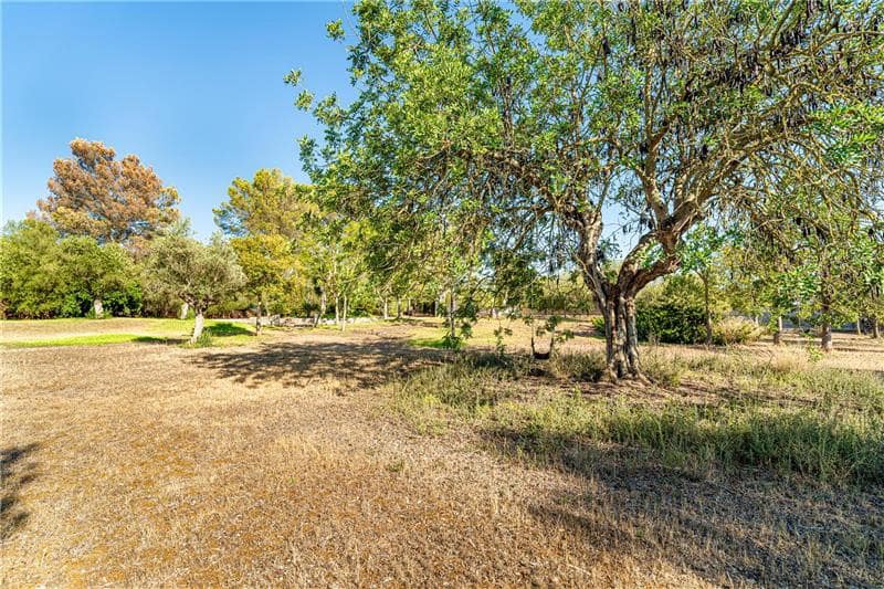 4 soveværelse Finca/Landehus til salg i Algaida med swimmingpool garage - € 1.750.000 (Ref: 9029998)