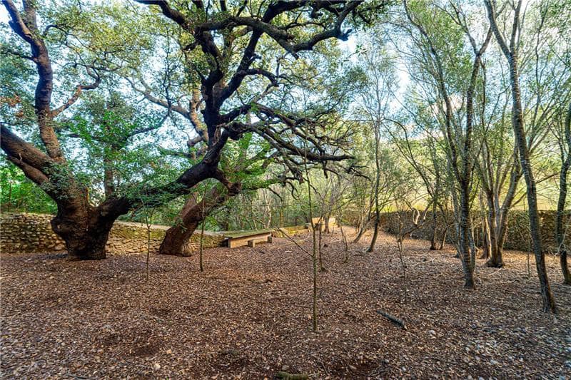 8 slaapkamer Villa te koop in Campanet - € 2.500.000 (Ref: 9432420)