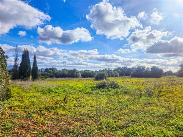 Byggegrund til salg i Felanitx - € 280.000 (Ref: 9569240)