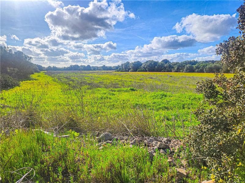 Byggegrund til salg i Felanitx - € 280.000 (Ref: 9569240)