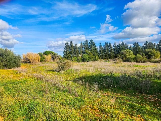 Byggegrund til salg i Felanitx - € 280.000 (Ref: 9569240)