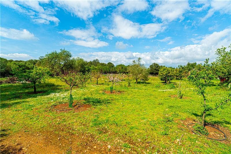 7 bedroom Finca/Country House for sale in Algaida with pool garage - € 3,400,000 (Ref: 9707795)