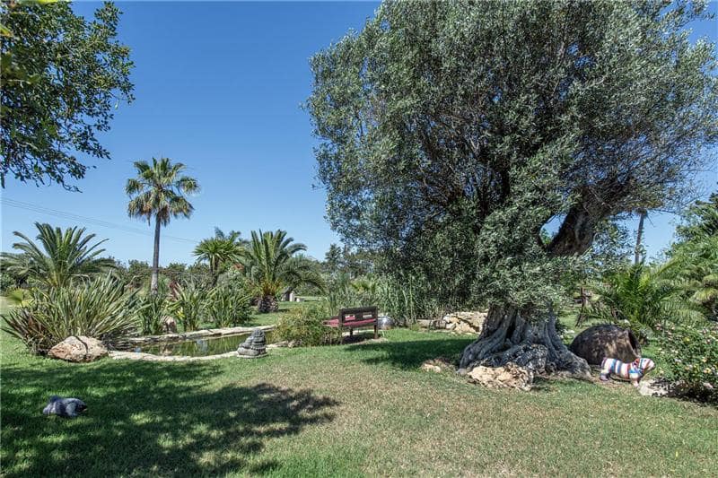 2 chambre Finca/Maison de Campagne à vendre à Palma de Mallorca avec garage - 2 800 000 € (Ref: 9865724)