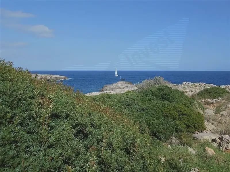 Terrain à Bâtir à vendre à Cala d'Or - 1 500 000 € (Ref: 9893315)