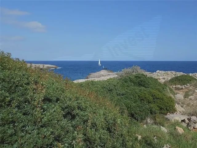 Terrain à Bâtir à vendre à Cala d'Or, Santanyí - 1 500 000 € (Ref: 9893315)