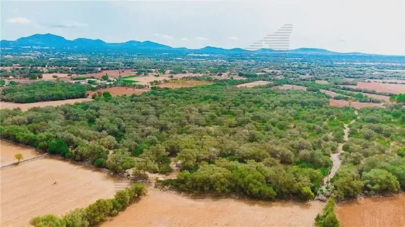 Area Edificabile in vendita in Felanitx - 790.000 € (Rif: 9893325)