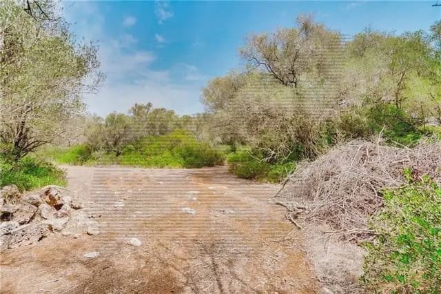 Area Edificabile in vendita in Felanitx - 790.000 € (Rif: 9893325)