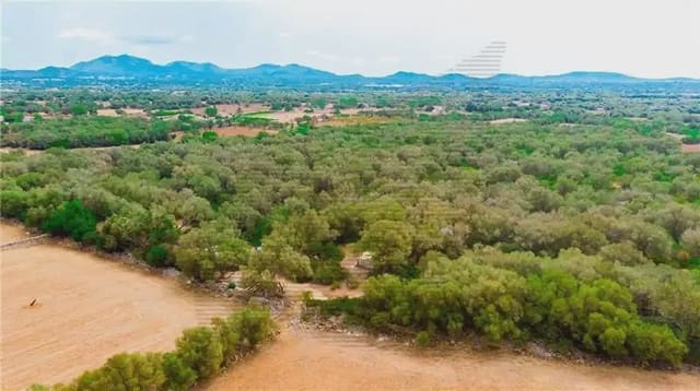 Area Edificabile in vendita in Felanitx - 790.000 € (Rif: 9893325)