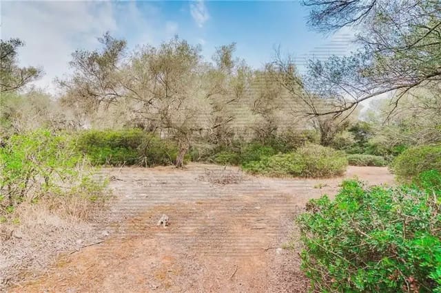 Area Edificabile in vendita in Felanitx - 790.000 € (Rif: 9893325)