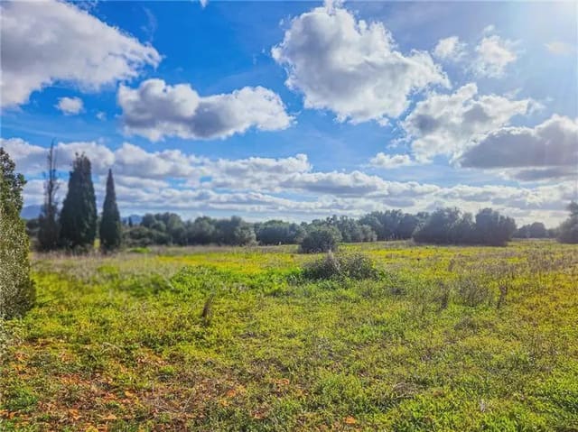 Building Plot for sale in Felanitx - € 280,000 (Ref: 9893351)