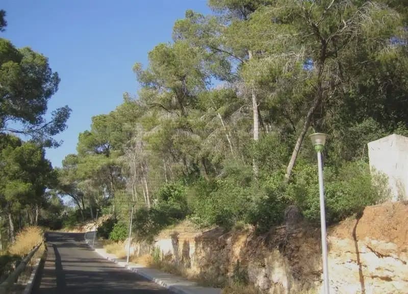 Terreno para Construção para venda em Portals Nous - 400 000 € (Ref: 9893359)