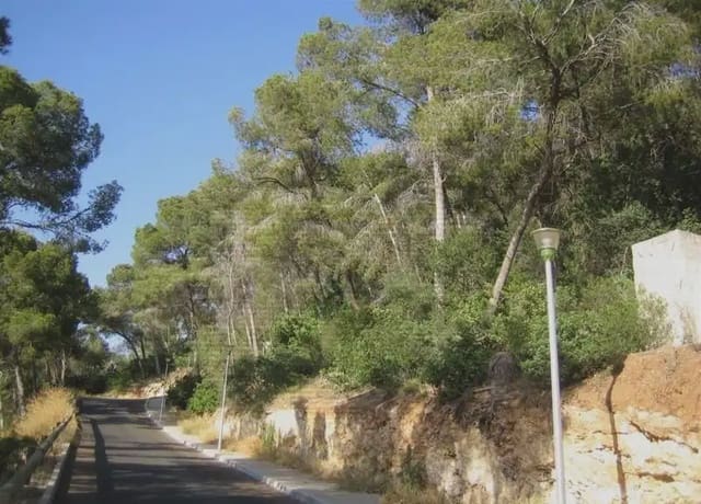Bouwgrond te koop in Portals Nous, Calvià - € 400.000 (Ref: 9893359)
