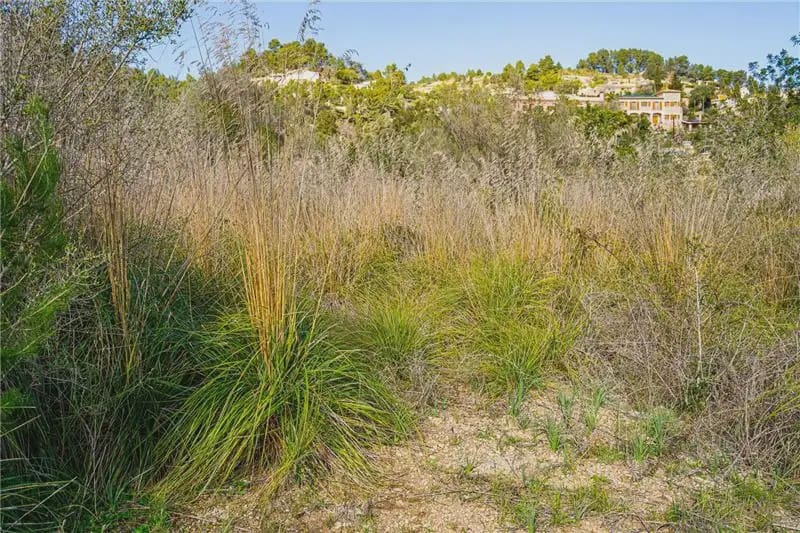 Terrain à Bâtir à vendre à Puigpunyent - 190 000 € (Ref: 9893366)
