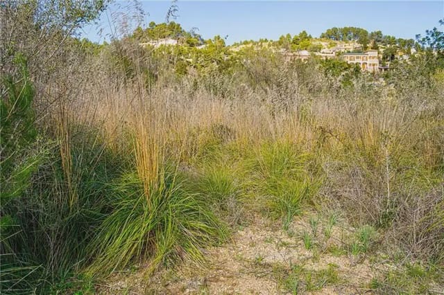 Bouwgrond te koop in Galilea, Puigpunyent - € 190.000 (Ref: 9893366)