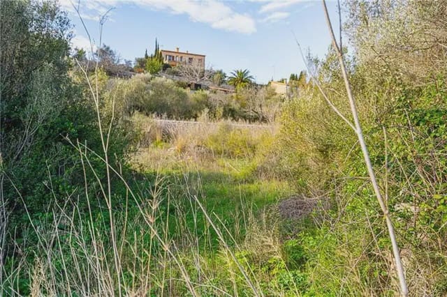 Bouwgrond te koop in Galilea, Puigpunyent - € 190.000 (Ref: 9893366)