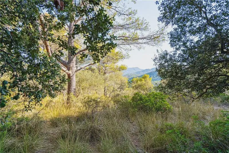 Undeveloped Land for sale in Palma de Mallorca - € 150,000 (Ref: 9893387)