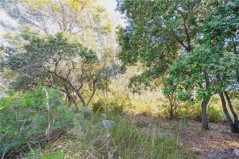 Undeveloped Land for sale in Palma de Mallorca - € 150,000 (Ref: 9893387)