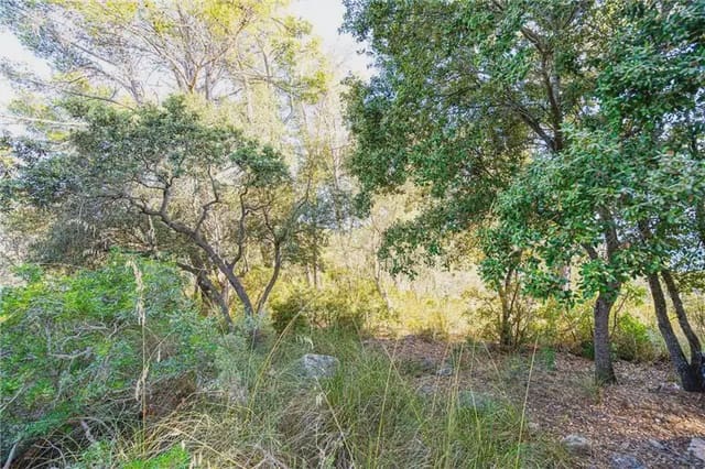 Undeveloped Land for sale in Establiments, Palma de Mallorca - € 150,000 (Ref: 9893387)