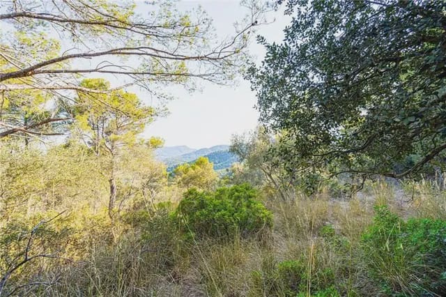 Undeveloped Land for sale in Establiments, Palma de Mallorca - € 150,000 (Ref: 9893387)
