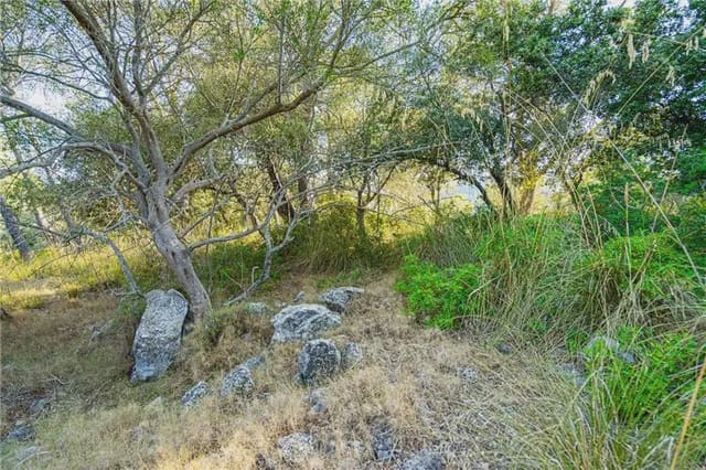 Undeveloped Land for sale in Establiments, Palma de Mallorca - € 150,000 (Ref: 9893387)