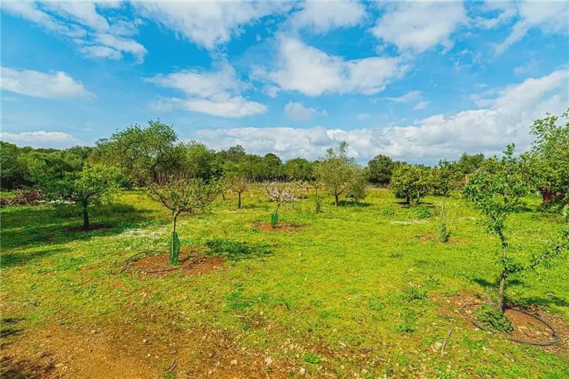 7 bedroom Finca/Country House for sale in Algaida with pool garage - € 3,400,000 (Ref: 9893408)