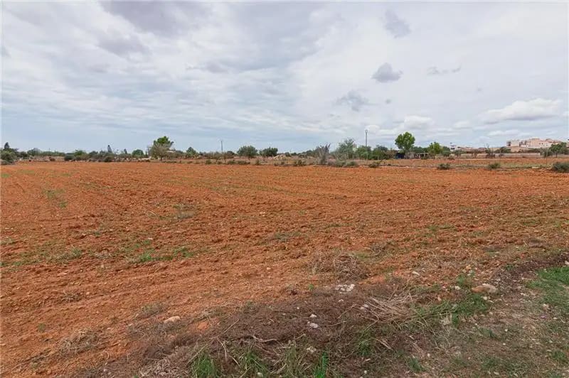 Undeveloped Land for sale in Llucmajor - € 390,000 (Ref: 9893416)