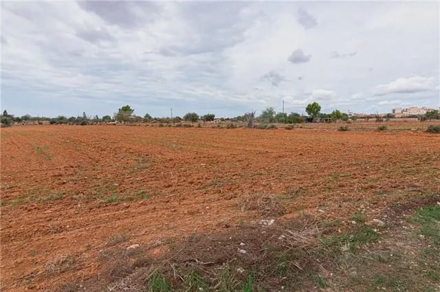 Undeveloped Land for sale in Llucmajor - € 390,000 (Ref: 9893416)