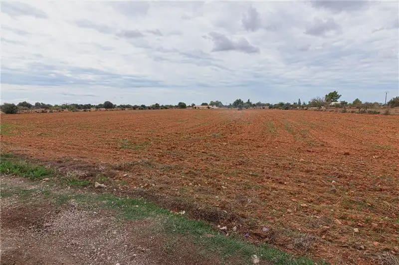 Undeveloped Land for sale in Llucmajor - € 390,000 (Ref: 9893416)