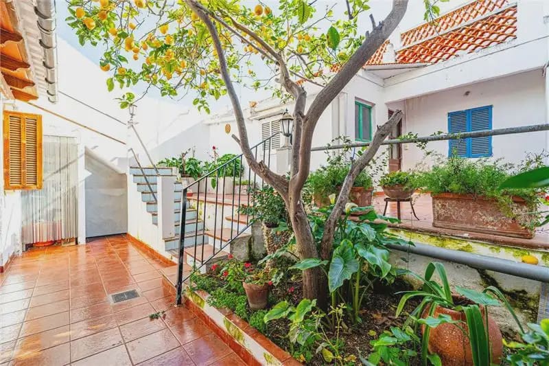 3 bedroom Bungalow for sale in Palma de Mallorca - € 536,000 (Ref: 9893440)