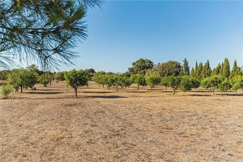 4 bedroom Finca/Country House for sale in Algaida with pool garage - € 1,690,000 (Ref: 9893450)
