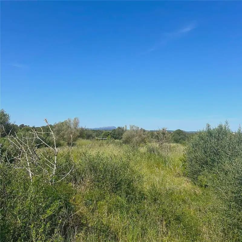 Bouwgrond te koop in Manacor - € 215.000 (Ref: 9893468)