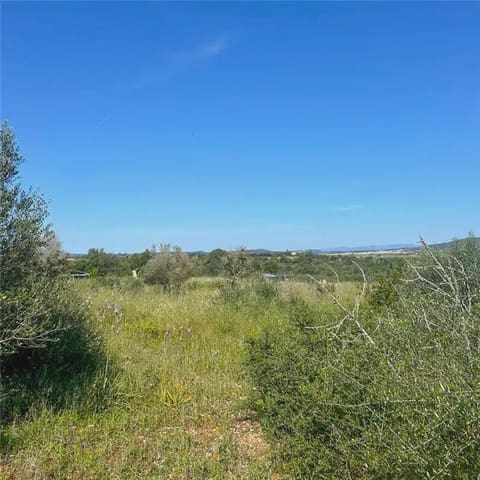 Bouwgrond te koop in Manacor - € 215.000 (Ref: 9893468)