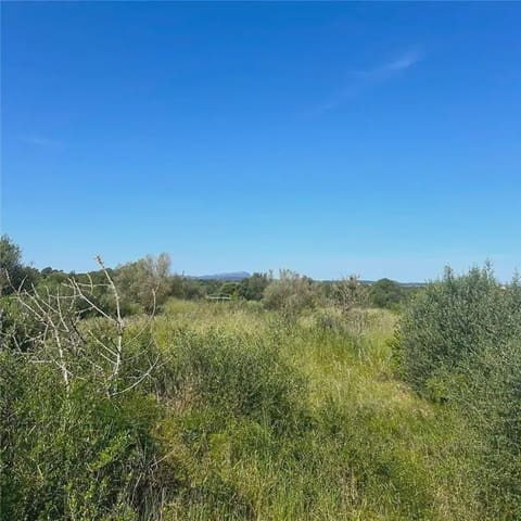 Bouwgrond te koop in Manacor - € 215.000 (Ref: 9893468)