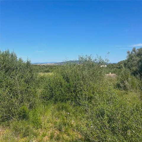Bouwgrond te koop in Manacor - € 215.000 (Ref: 9893468)