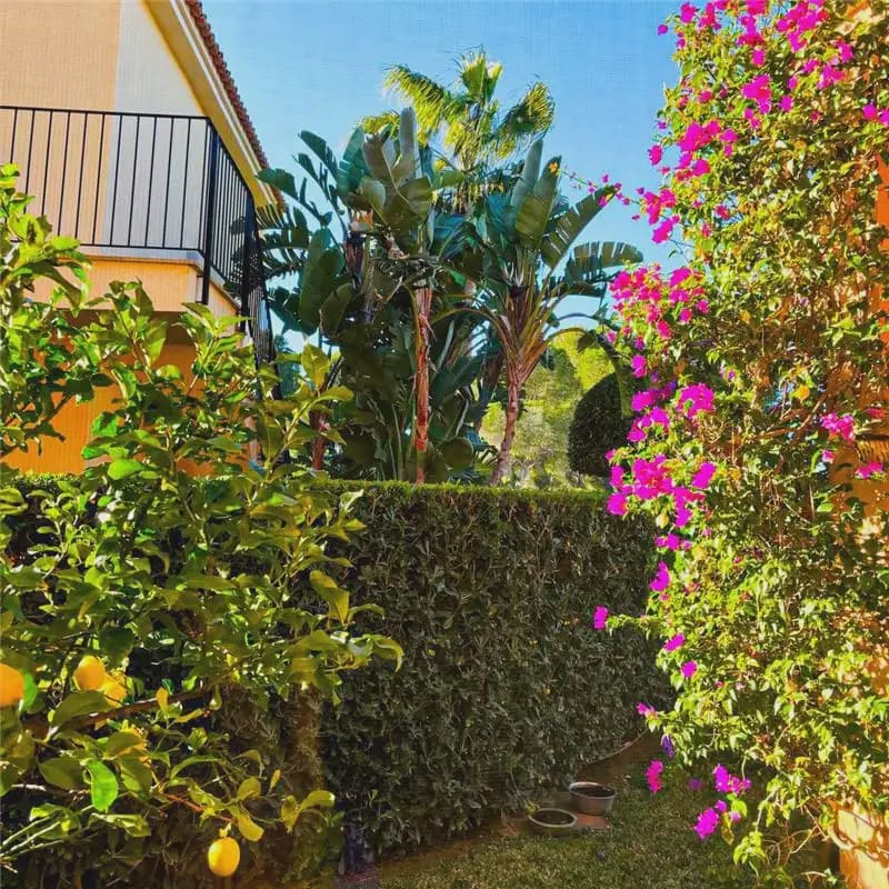 2 camera da letto Appartamento sulla Spiaggia in vendita in Campos con piscina garage - 549.000 € (Rif: 9893486)