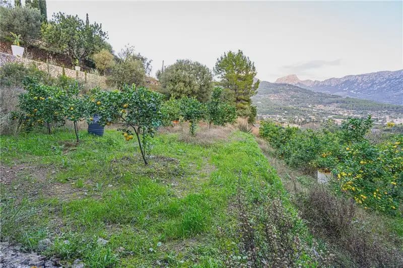 Mark till salu i Soller - 150 000 € (Ref: 9893490)